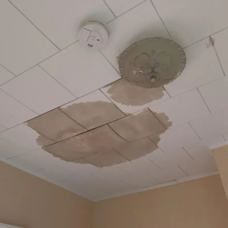 Ceiling Water Damage Repair in Bondurant, IA