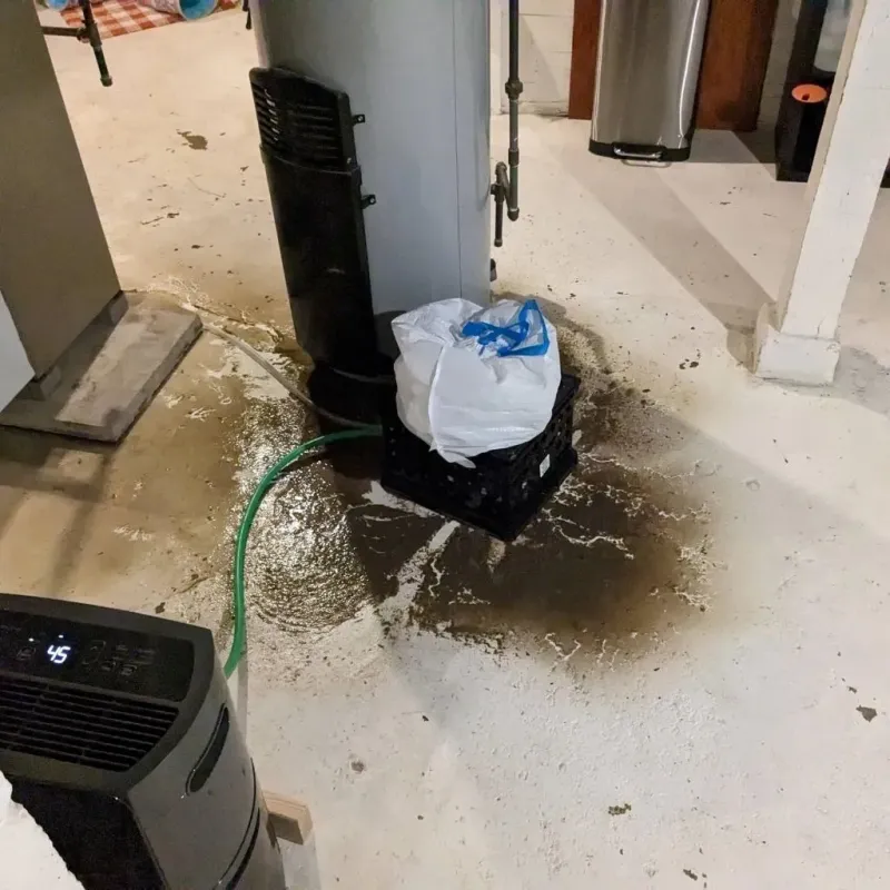 Sewage Backup Cleanup Service in Bondurant, IA